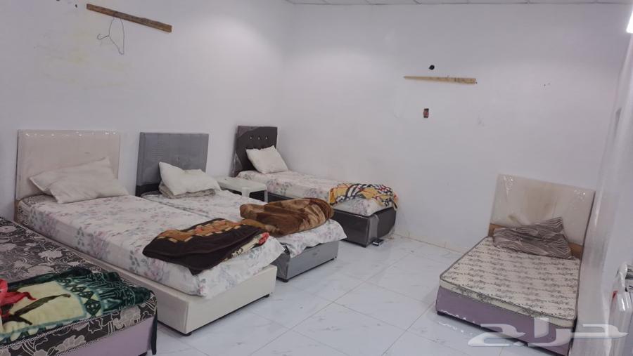 عُرفتُ بالجَري والمشاركة في تونالولا63442949585539111