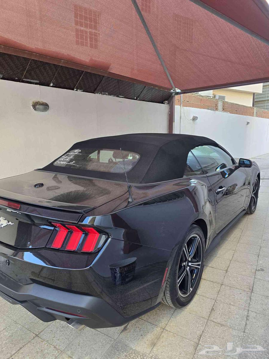 فورد موستنج 2024 كشف ايكوبوست بريميوم63118399912963111