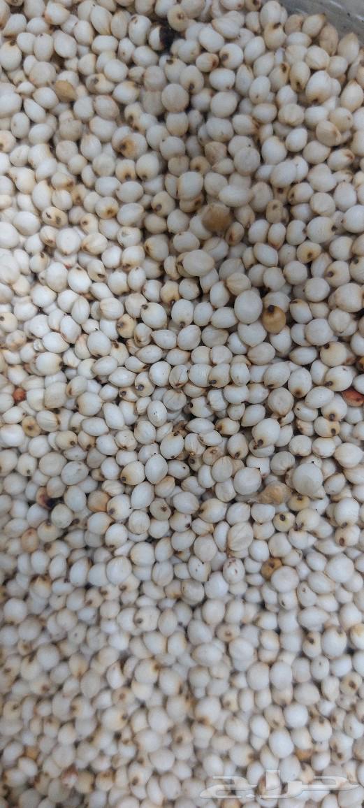 My Country's Grain Mill63078527404546112