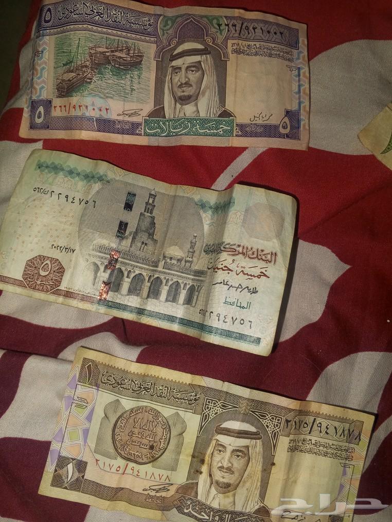 ريالات نادرة للبيع بسعر 300063471626595330111