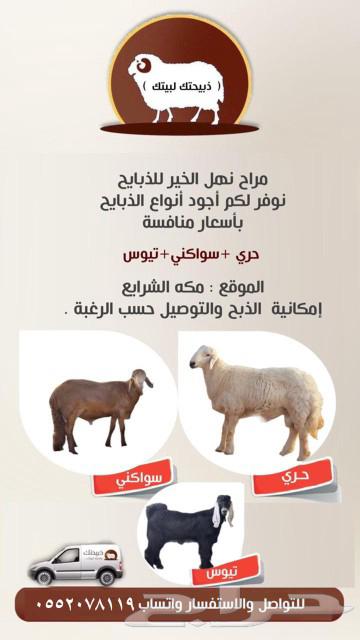 للبيع (سواكني - حري ) يوجد ذبح وتوصيل63077353931907117