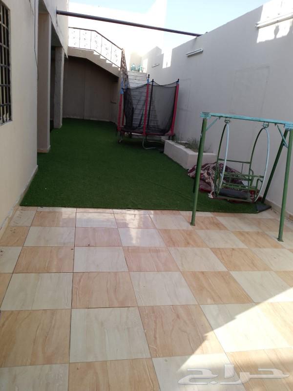 استراحة للإيجار بالوسام62930663525123112