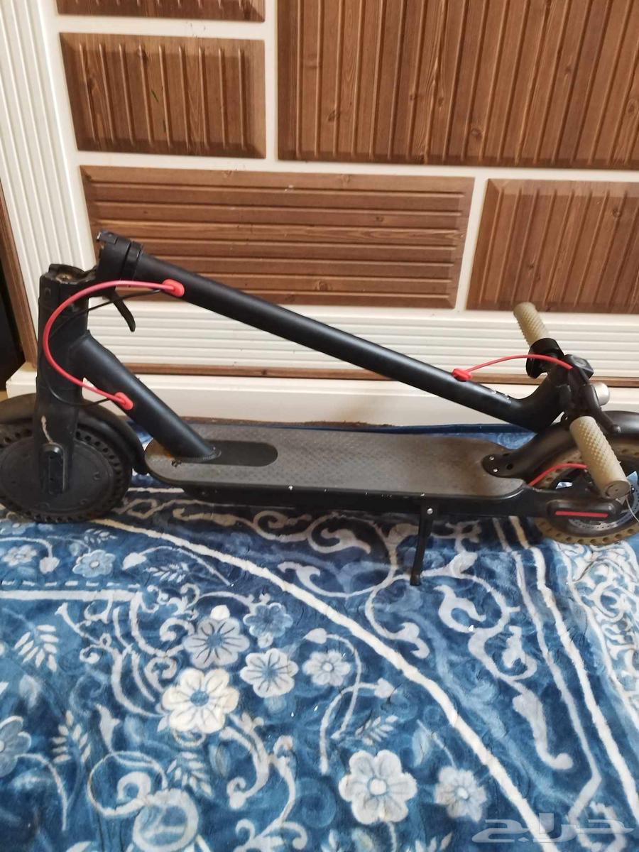 سكوتر كهربائي للبيع63074140825603113