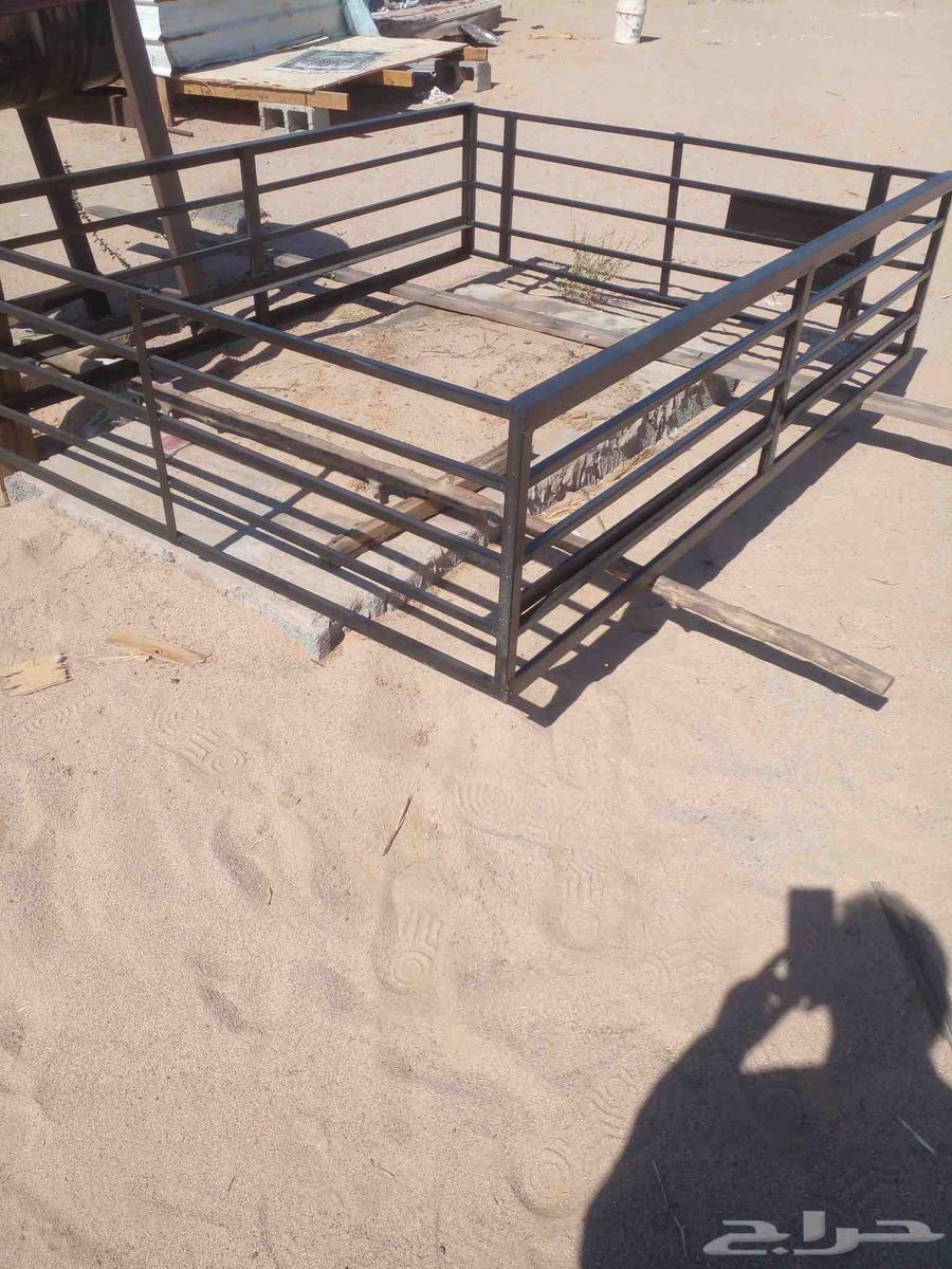 Badar Road Yanbu near barley filling63074569114498111