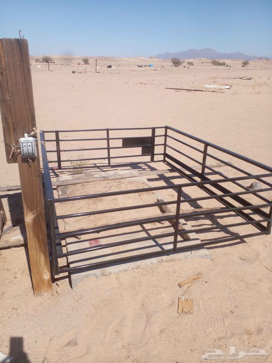 Badar Road Yanbu near barley filling63074569114498112