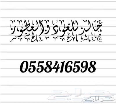 عود كينام صيني63073780033921113