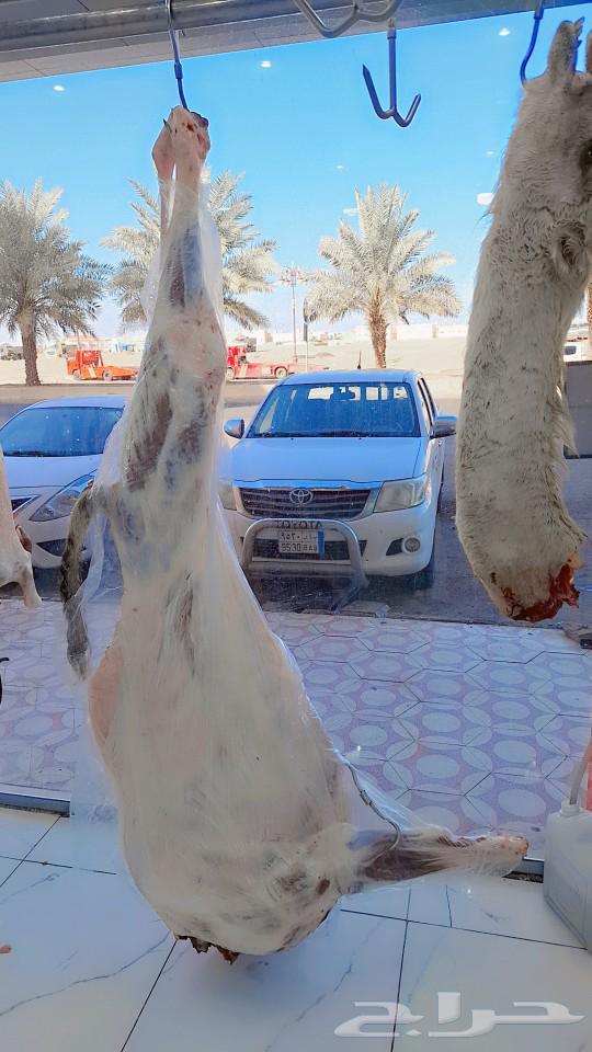 50 riyals offer, sheep's head 60 riyals63108130120066112