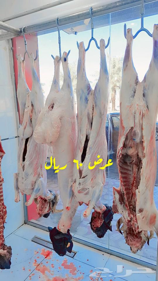 50 riyals offer, sheep's head 60 riyals63108130120066111