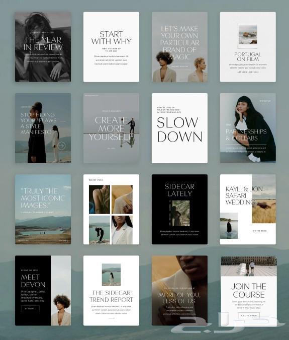 Professional Designer (Canva)63076185970563111