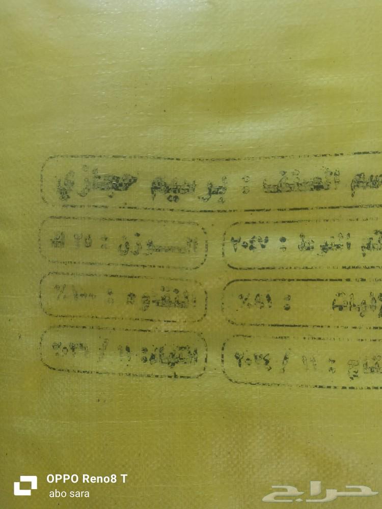 برسيم حجازي للبيع63470116093187111