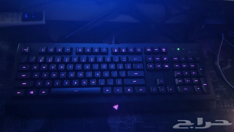 Razer Gaming Keyboard630704976387871114