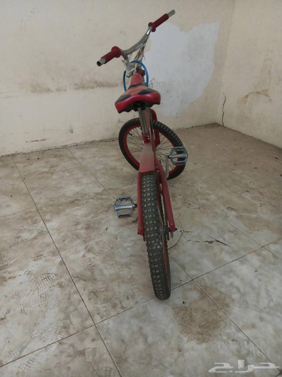 Bicycle cover size 20. On sale. Don't call me please.63072493805826112