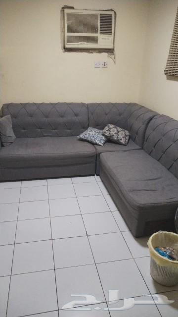 Bedroom. TV. Tube. Refrigerator. Table. Bed Sofa Desert Cooler Air Conditioner63070934417923117