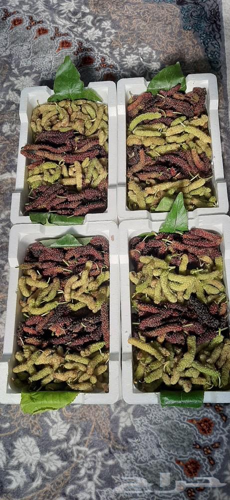 Redcurrant Kashmiri problem fresh63071684154369115