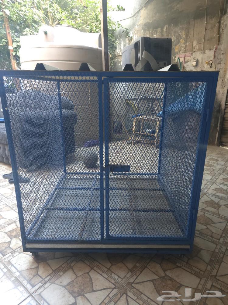 انباع63470201981058113