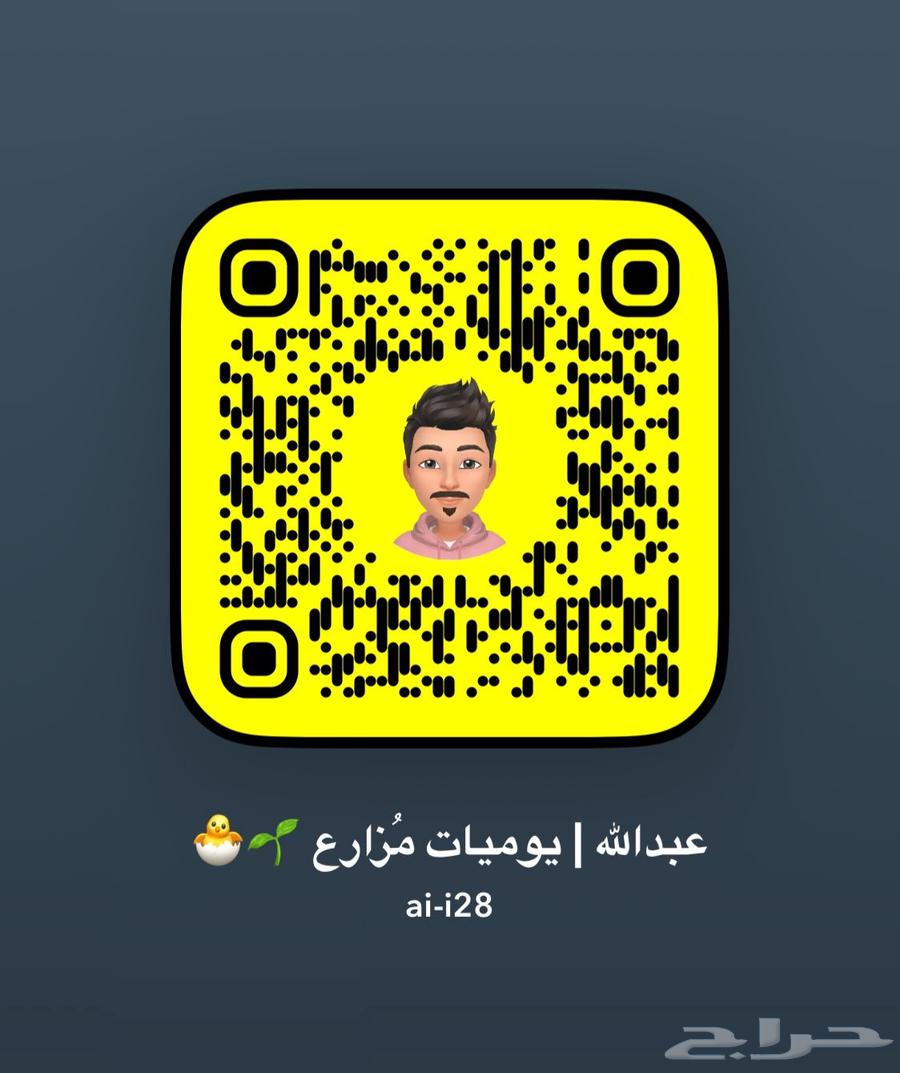 فروخ بولش63070115496705111
