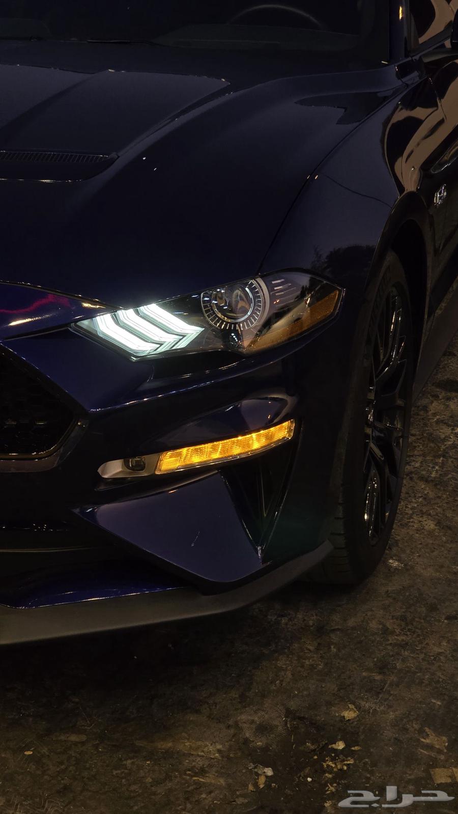 Mustang Performance Package Special Request Mustang PP1 GT 202063105149057025112