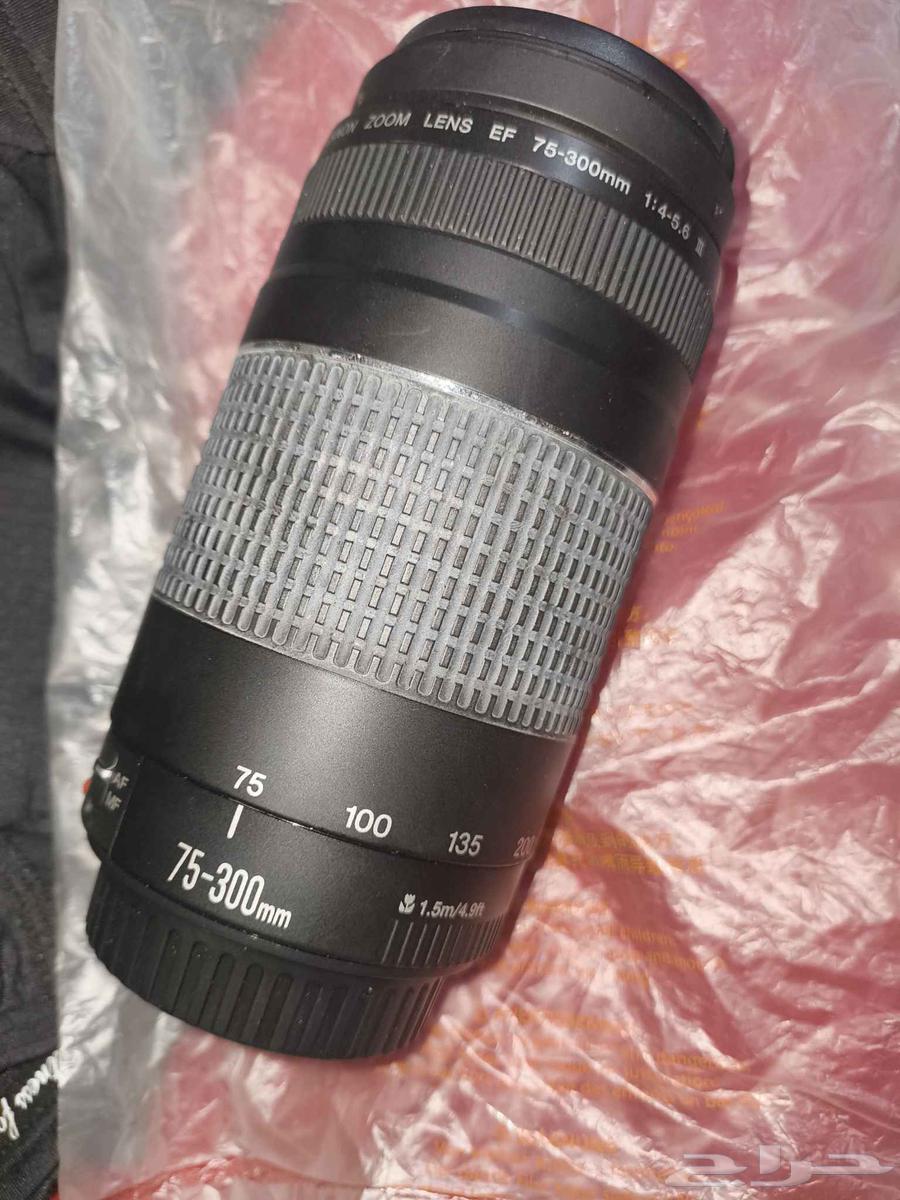 Canon 75-300mm lens63068812500867111