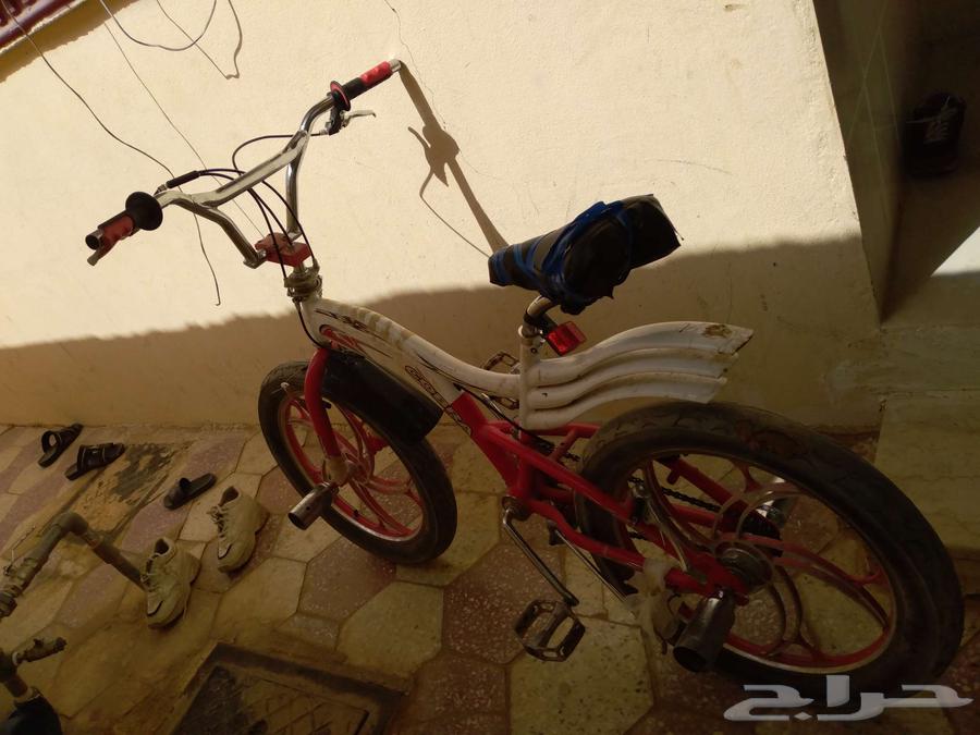 سيكل كوبرا عشرين البيع السوم 200ريال حده 30063069659071361114