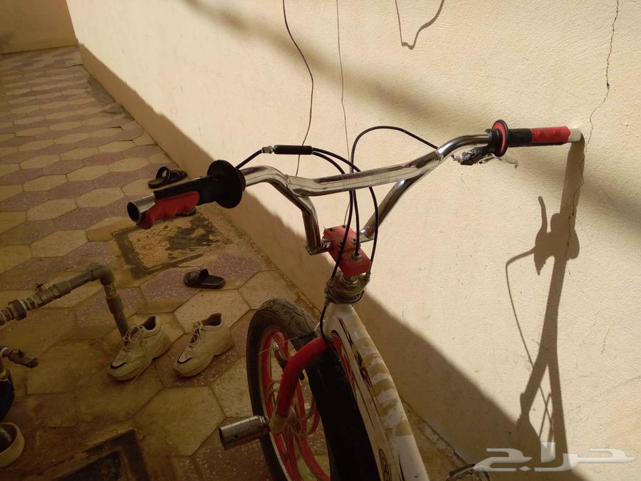 سيكل كوبرا عشرين البيع السوم 200ريال حده 30063069659071361114