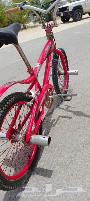 Bicycle63069691564163113