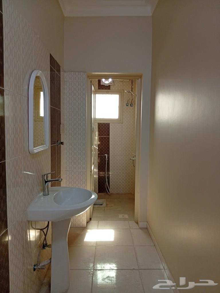 Furnished monthly rental apartment in Al-Dhafra district63011590054659113