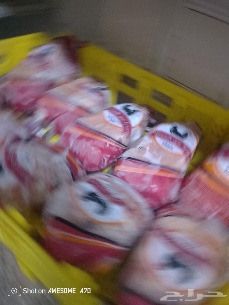 أكل لي الحيوانات63470204765059114