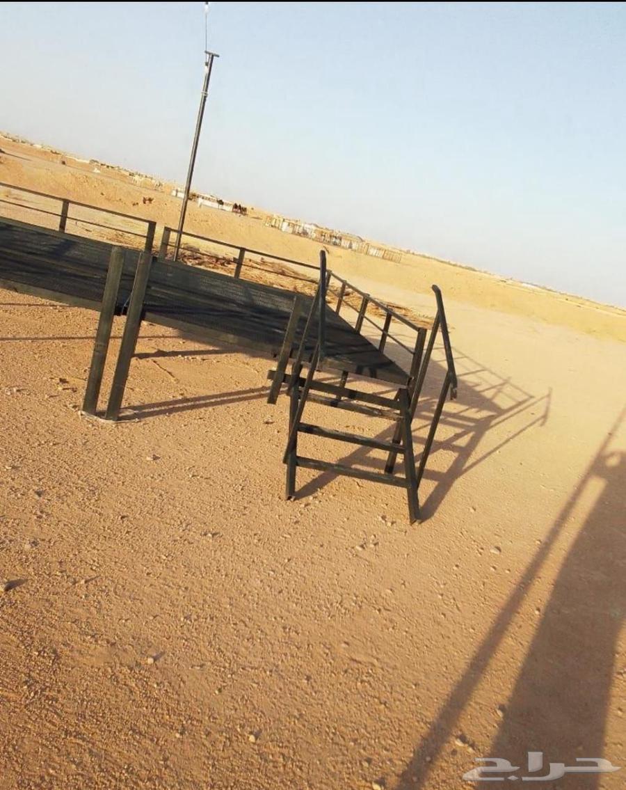 جلسه ( دكة حديد )630659866311701128