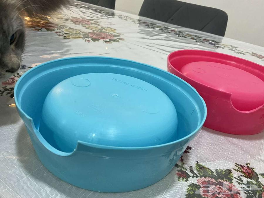 صحن اكل لل كلاب او القطط63067162631937112