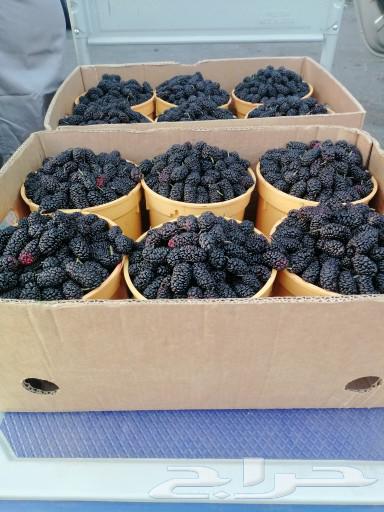 My local tayifeh berries are sweet and sour with free delivery630671681610271127