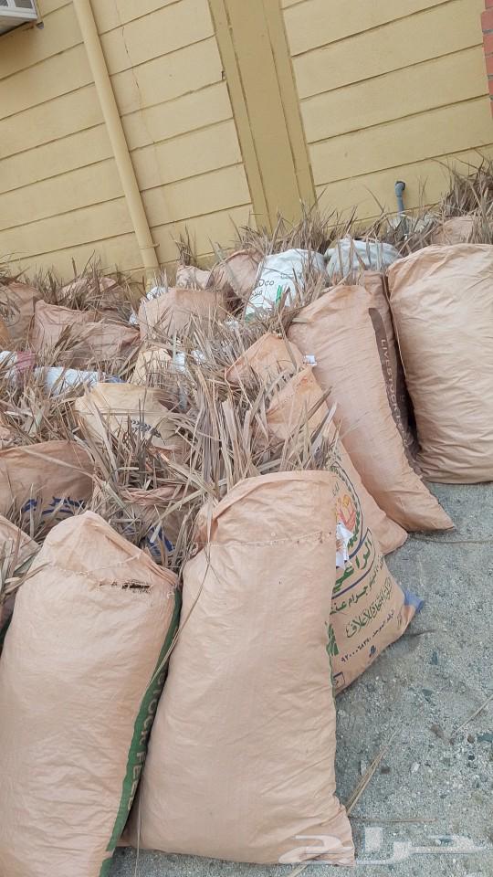 There are new palm leaf paper bags for halal. And we add the quantity to limited and on63065607975297111