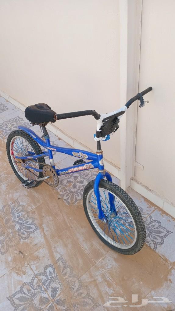 سيكل كوبرا و سكوتر63066404502531112