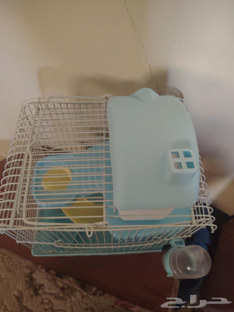 Hamster cage63076541640579111