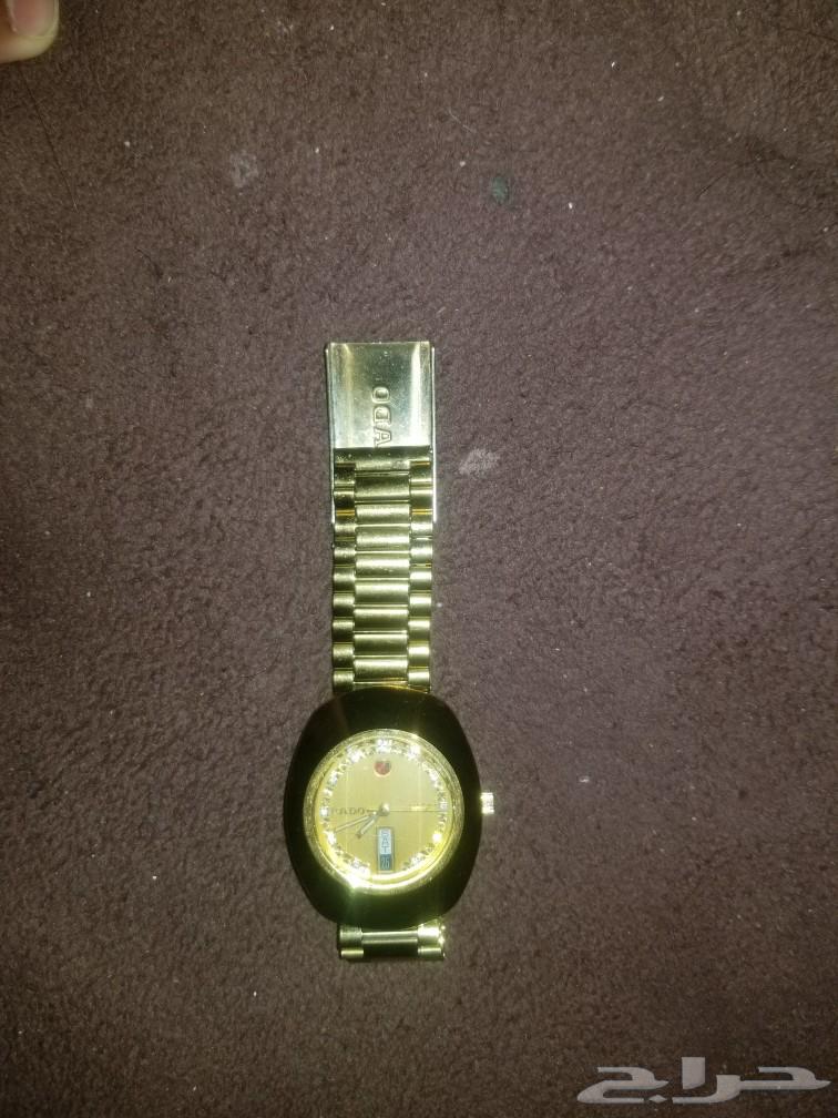 Radou Men's Gold Watch63065192928899113