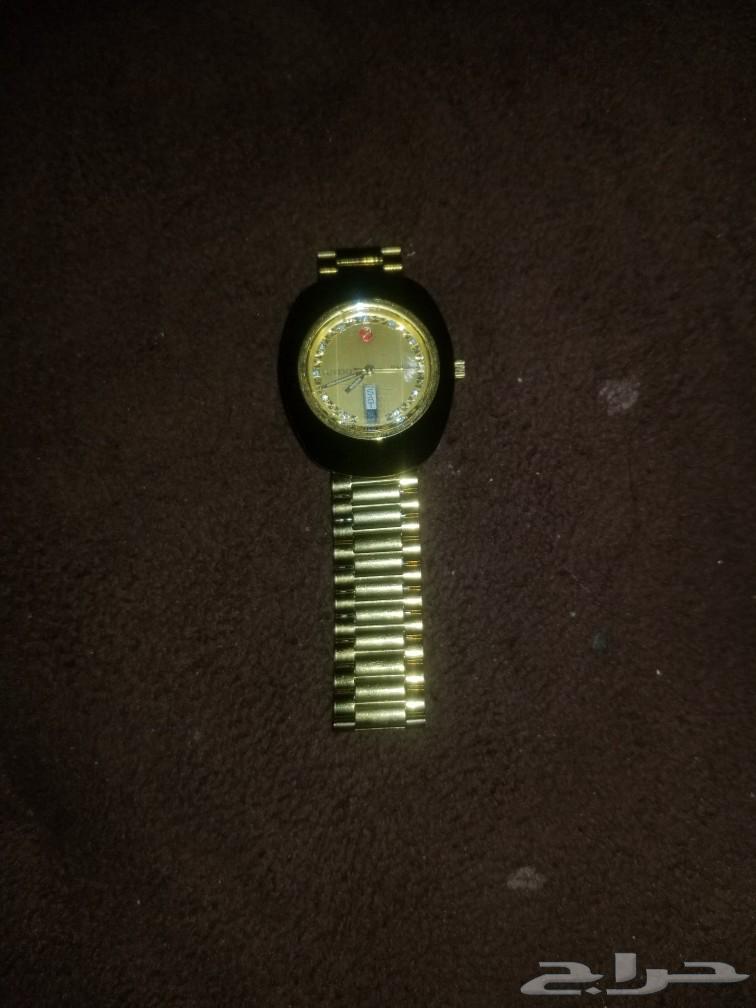 Radou Men's Gold Watch63065192928899114