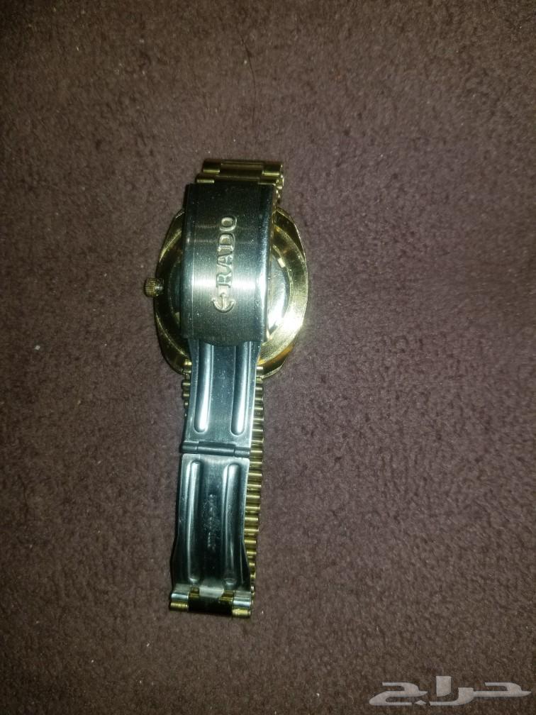Radou Men's Gold Watch63065192928899112