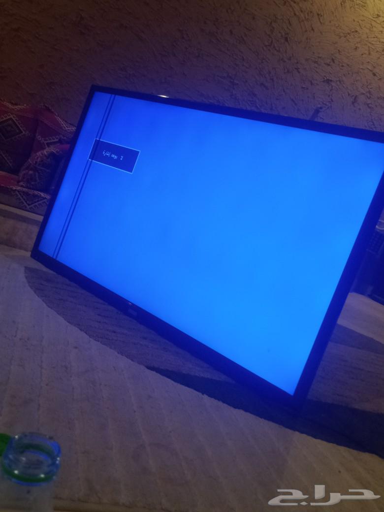 Screen for sale, Al-Samel comes63066011198339112