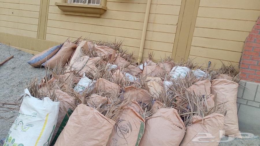 There are new palm leaf paper bags for halal. And we add the quantity to limited and on63065607975297112