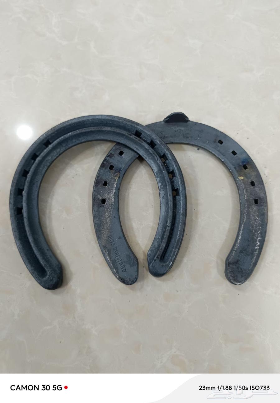 للبيع حداول الخيل الفرزيان كبيرة الحجم مقاسات كبيرة 9 1063062912295427111