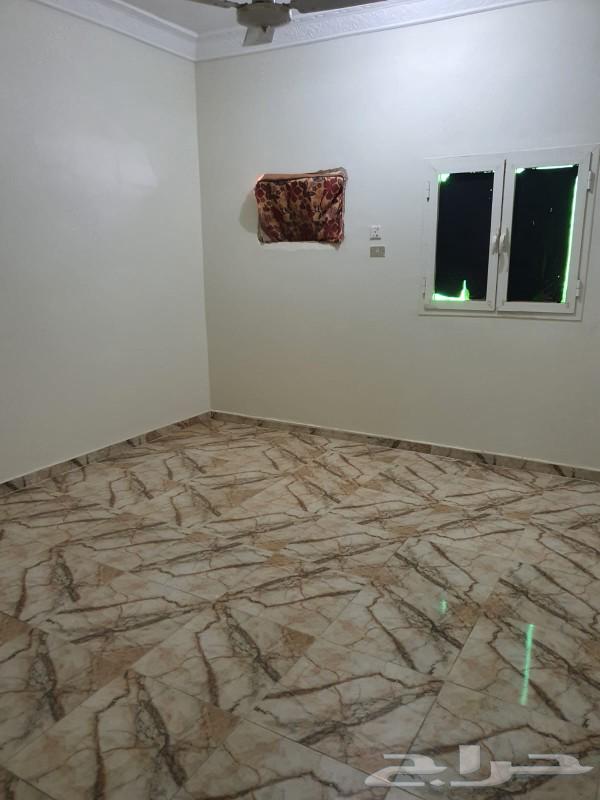 شقق عوائل للإيجار مركز المظيلف63012024069635110