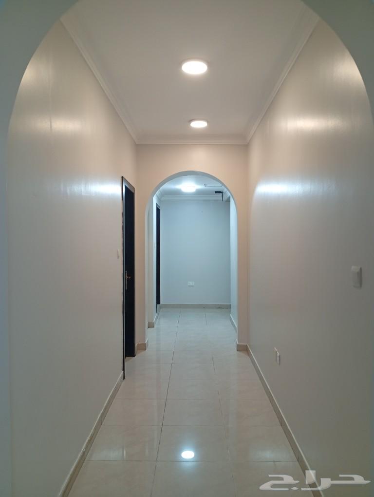 عمارة للايجار بالكامل في حي العليا مدينة الخبر63012947087106113