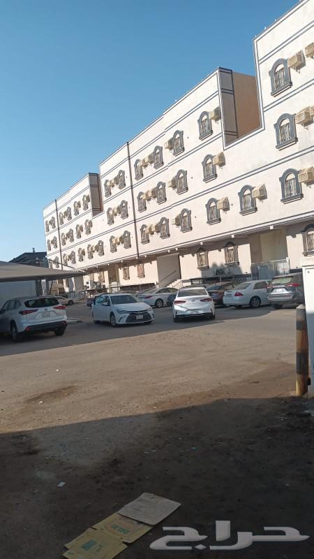 Monthly rental apartments for sale in Jeddah, Al-Hamdaneyah district63012947464705111