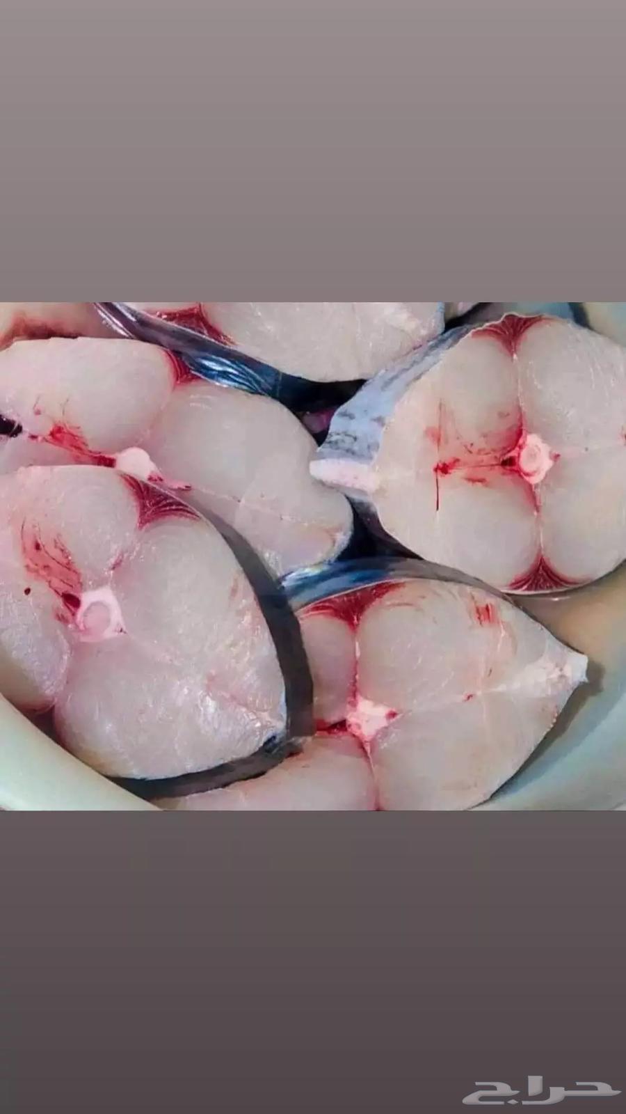 Fresh fish Jeddah63056773248002111