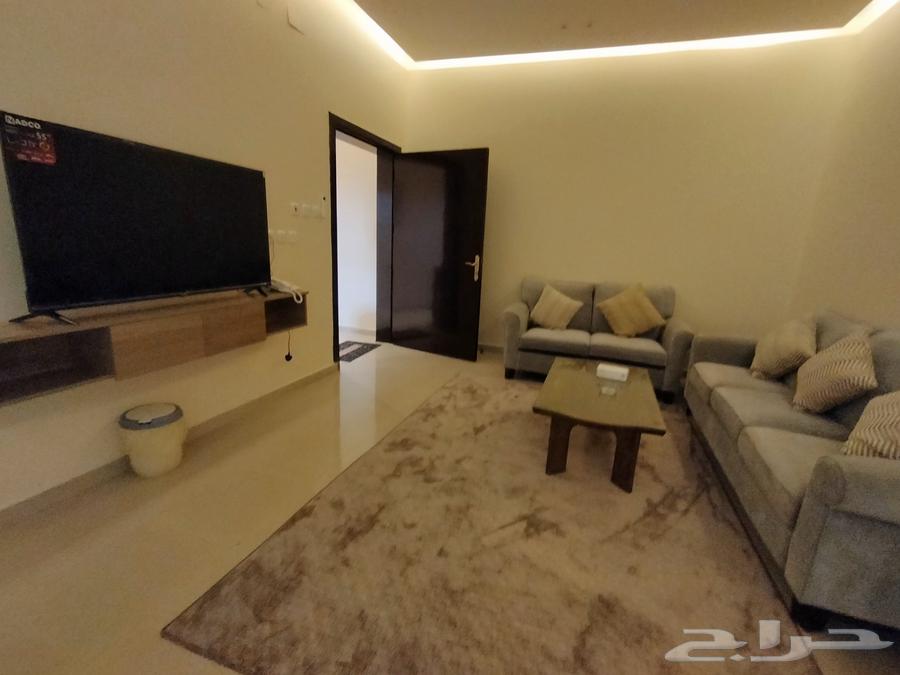 اللي يدور ايجار شهري63470062965505114