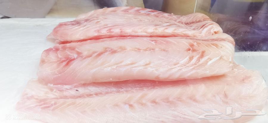 Fresh fish in Jeddah63056759302529111