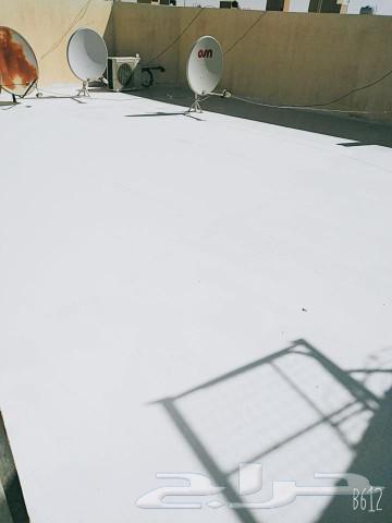 Tank Insulation Company _ Roof Insulation Company63016105661187111