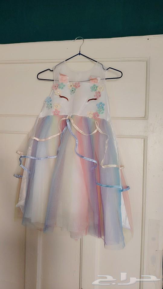 Skirts. Leather bag. Dresses. Skating skirts. Gloves. Watch straps.63059259935619114