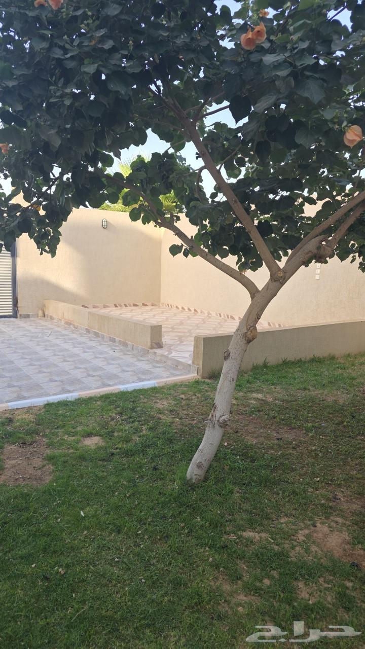 شاليه خاص بالعوائل بالقرب من الجامعة62894214821121112
