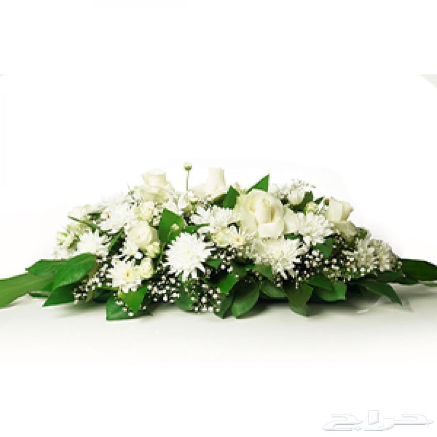 I have flower and gift shop in Riyadh for chip price.63055219475459111
