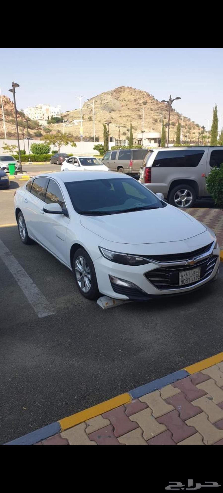 Malibu 201963081716533634111